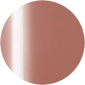 PRESTO COLOR GEL SC-355 [10G] [BOTTLE]