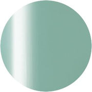 PRESTO COLOR GEL SC-356 [10G] [BOTTLE]