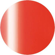 PRESTO COLOR GEL SC-362 [10G] [BOTTLE]