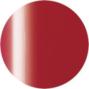 PRESTO COLOR GEL SC-363 [10G] [BOTTLE]