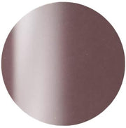 PRESTO COLOR GEL SC-381 [10G] [BOTTLE]