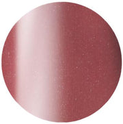 PRESTO COLOR GEL SC-382 [10G] [BOTTLE]