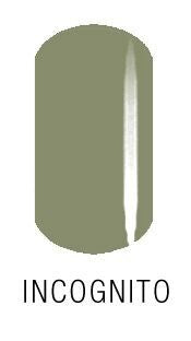 INCOGNITO