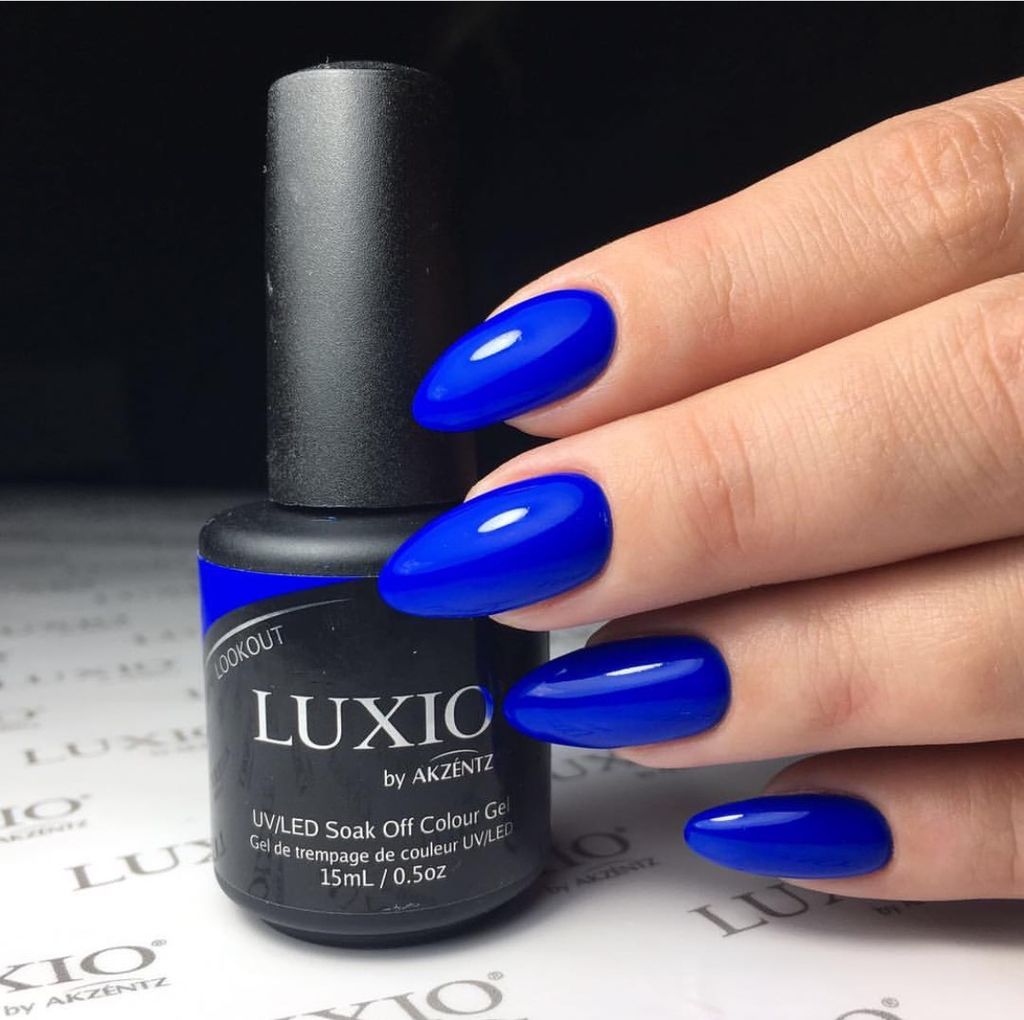 Luxio Certification Class