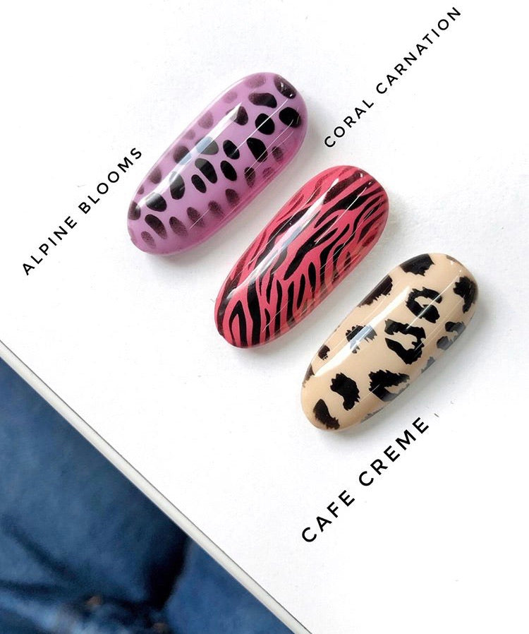 Options Vienna Collection